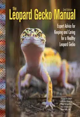 kindle write the leopard gecko manual | portfolio